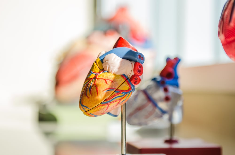 Echo IQ to present AI heart disease detection tech at high-impact Barcelona conference 