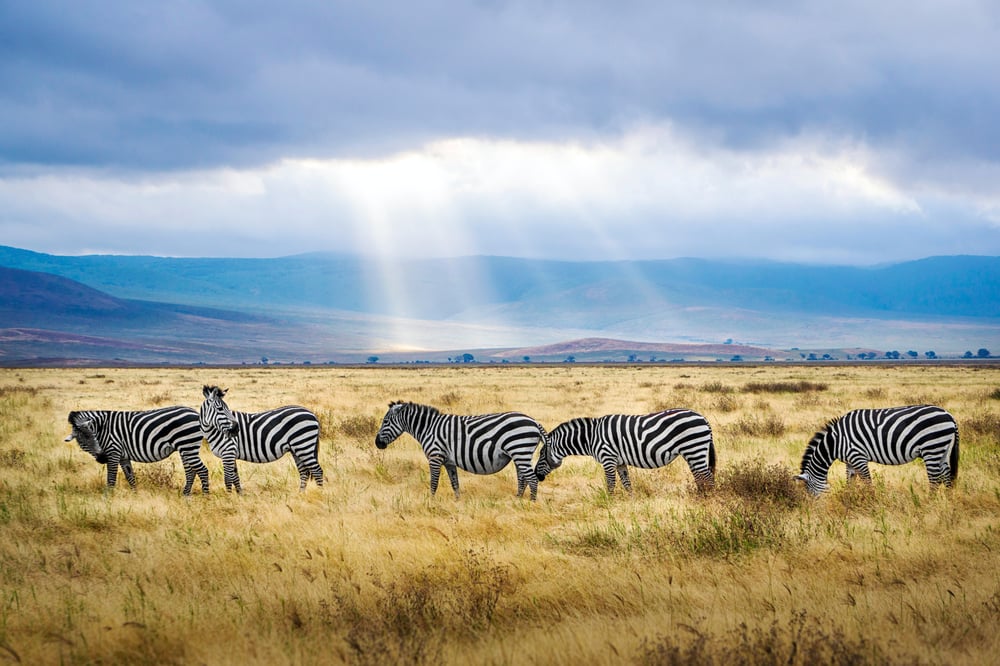 Adavale boosts Tanzanian nickel exploration target portfolio to 32 areas of interest