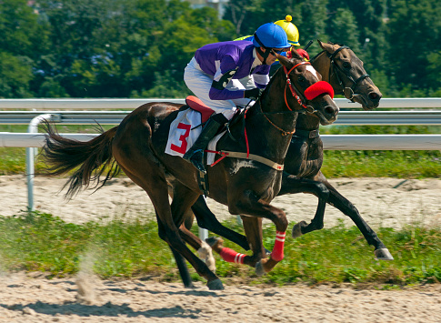 Apiam acquires two key equine clinics in prime horse country 