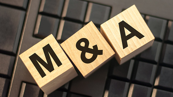 Rich pickings for cashed-up private equity: Valuations make for timely takeover action