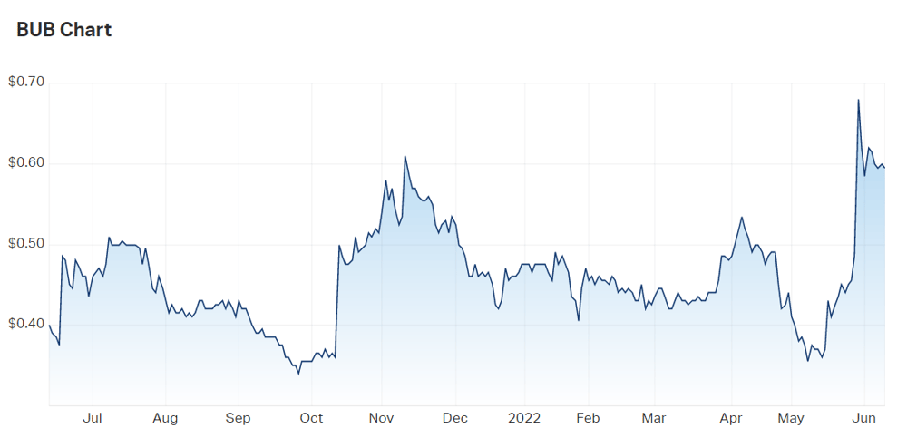 2022-06-10 10 06 18-Bubs Australia Ltd (ASX BUB) Share Price - Market Index