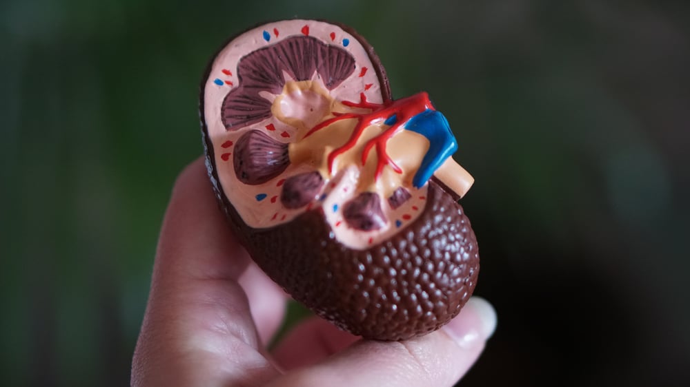 Dimerix to launch diabetes-related disease trial in Australia; FDA interest persists 
