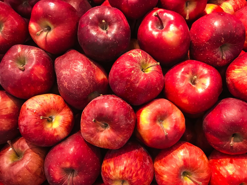 PeopleIN to acquire Pacific region farm labour provider as ALP target region 