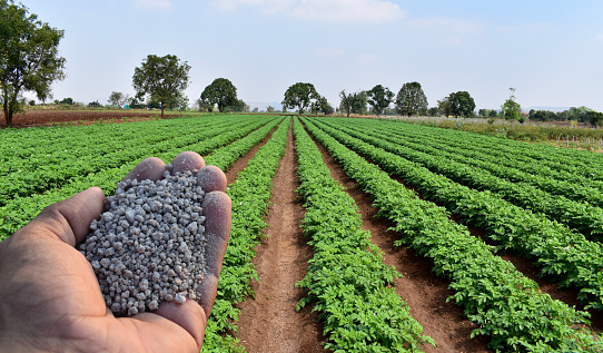 Fertiliser company RLF Agtech reaps $1m in new forward sales