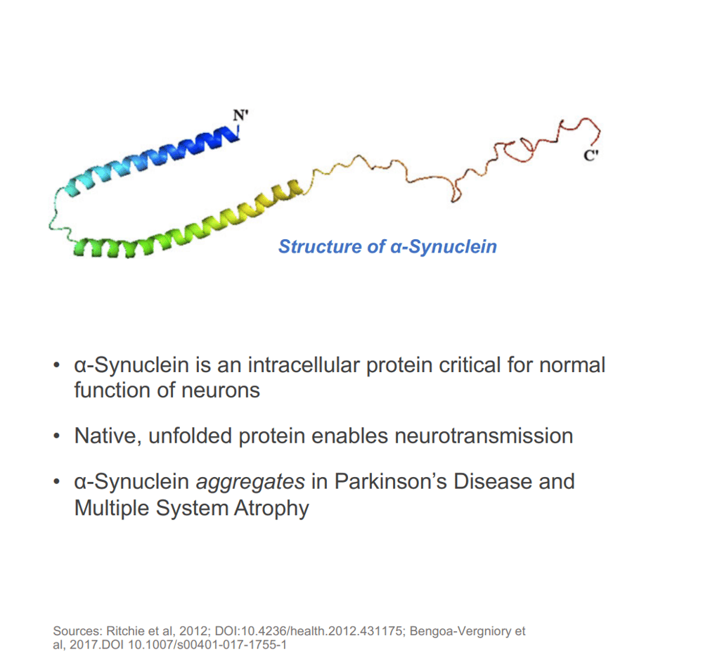 (Source: Alterity) An overview of the Alpha Synuclein protein which ATH434 intends to inhibit 