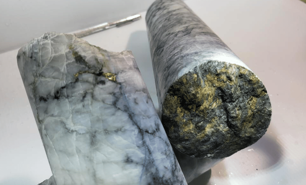 Drill core samples showing visible gold