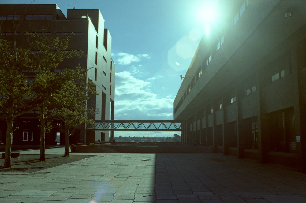 Pictured: UMass campus in Boston