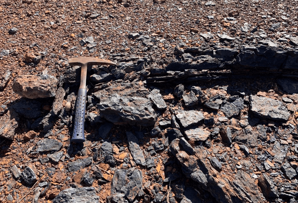 Pantera Minerals’ share price buoyant on strong manganese results 