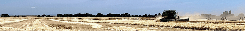 Supply chain/labour challenges to take toll on United Malt’s earnings