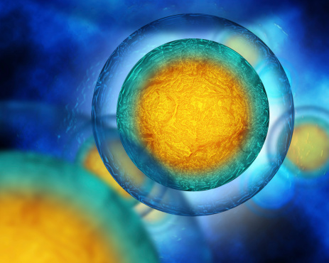 Chimeric Therapeutics partners-up to support cell programs
