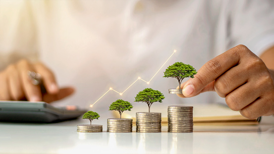  FMG completes funding of major green projects with senior notes