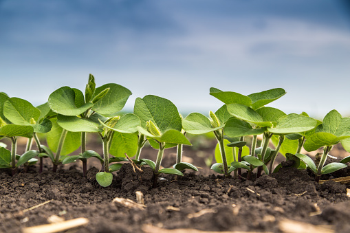 Jatcorp’s new round of funding to accelerate growth