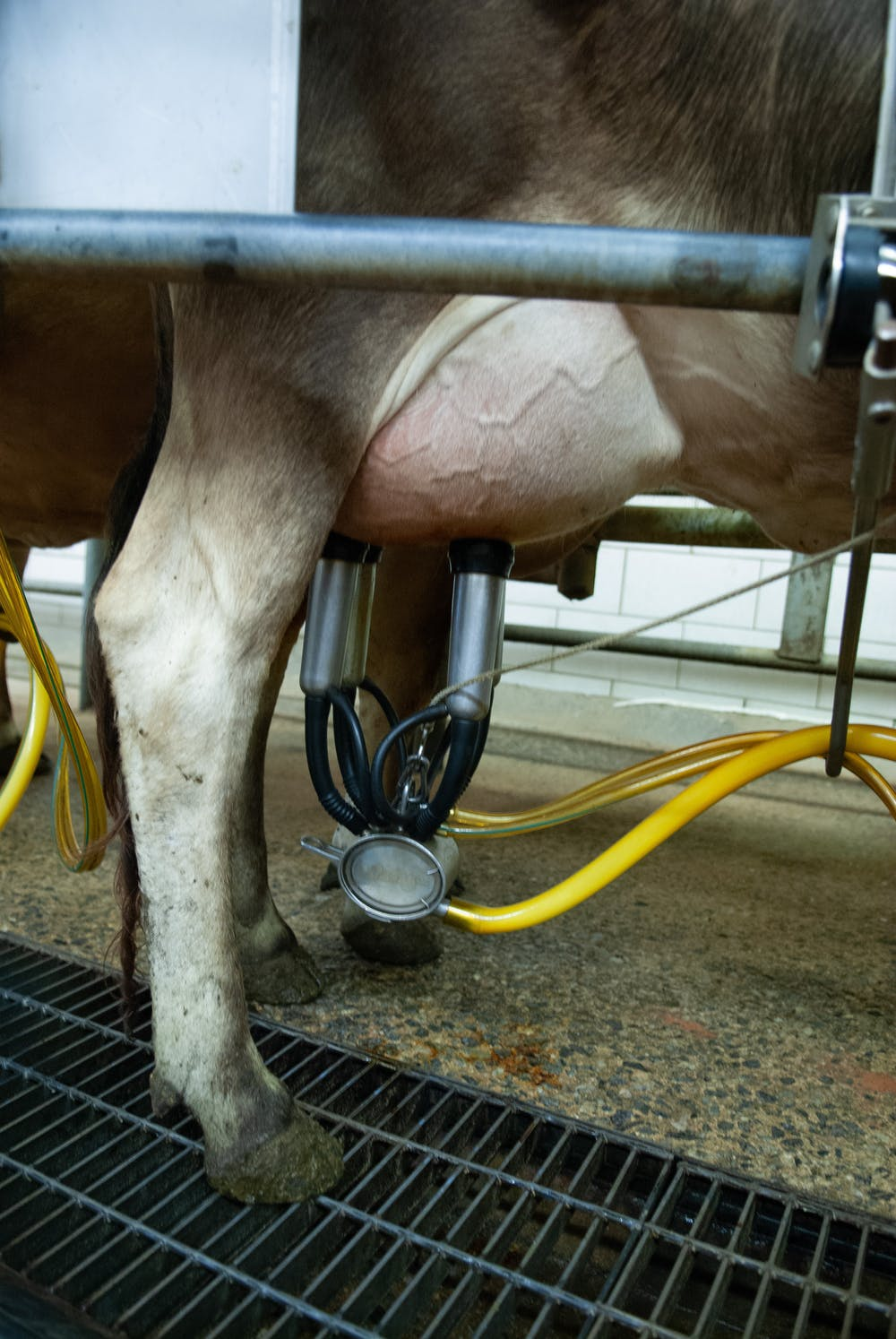 Is the covid-driven 'cash cow' for pathology stocks starting to unwind?