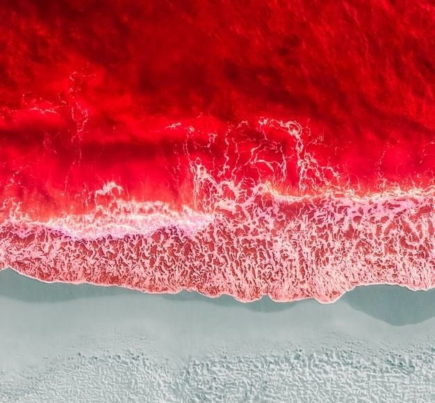 Sea of red for energy stocks amid omicron-driven rout