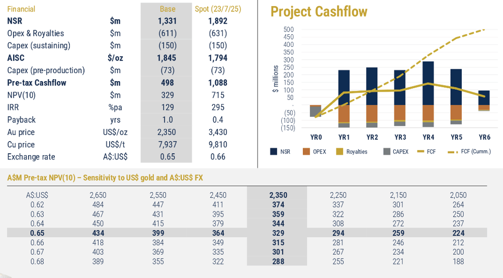 17.0 Medallion Metals, RGP Mineral Resource Scoping Study