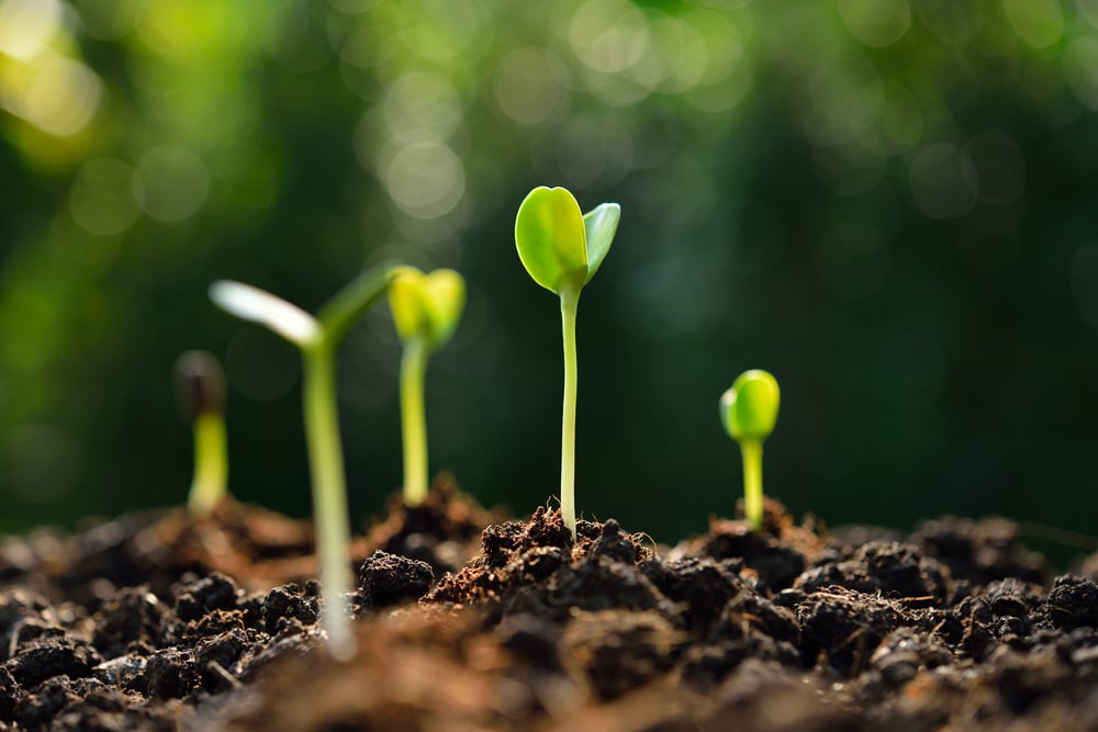The M&A catalyst driving sustained re-rates for 3 ASX small caps