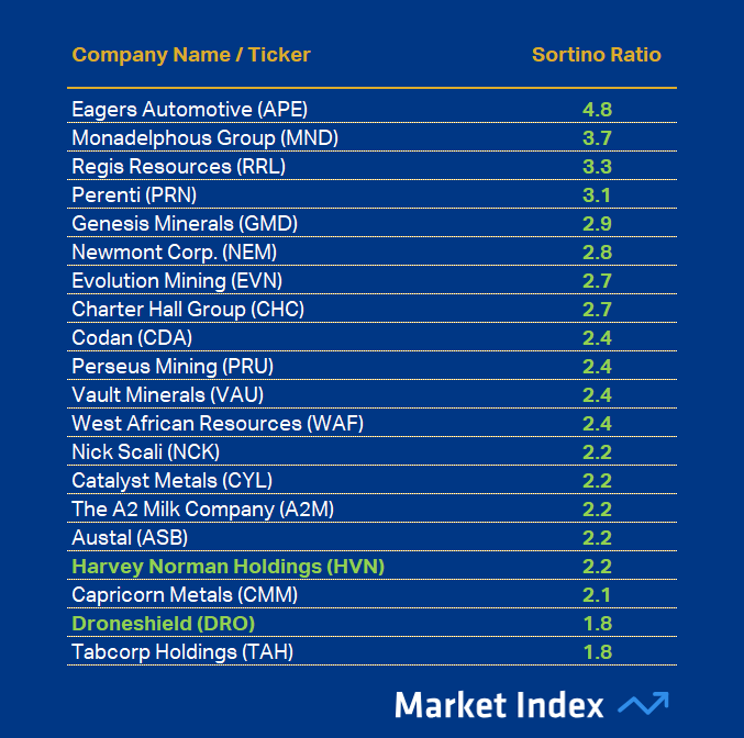 ASX 200 1-year Sortino Ratio Best 49 2025