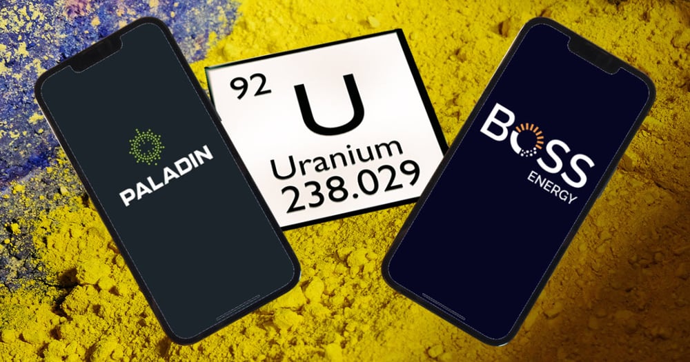 Paladin Energy and Boss Energy still top ASX uranium picks, but few catalysts for uranium surge in 2025 —UBS