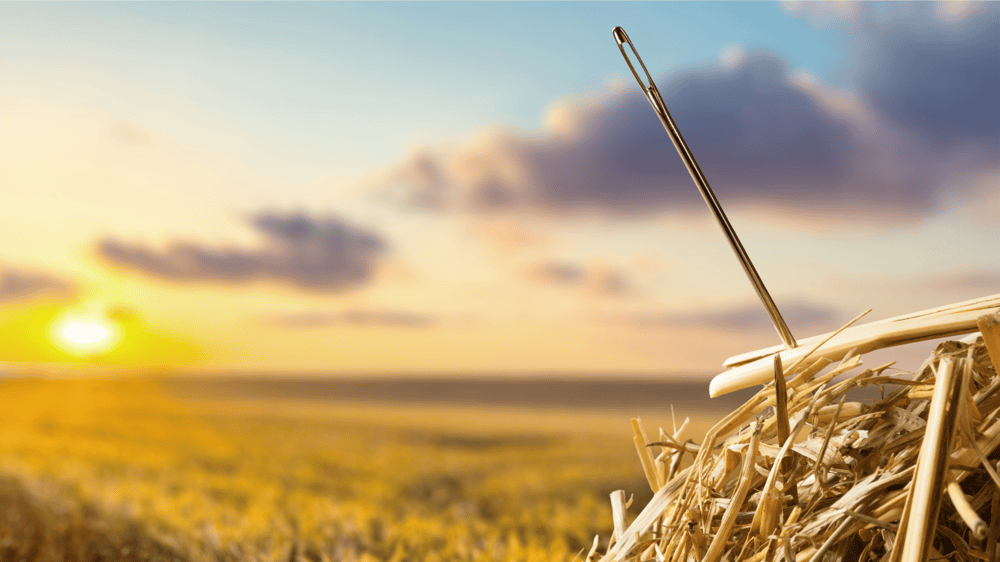 How to invest in the ASX: A framework to find quality shares for your portfolio