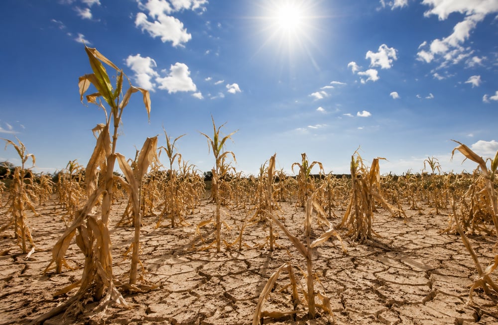 El Niño and the ASX: the stocks set to win and lose