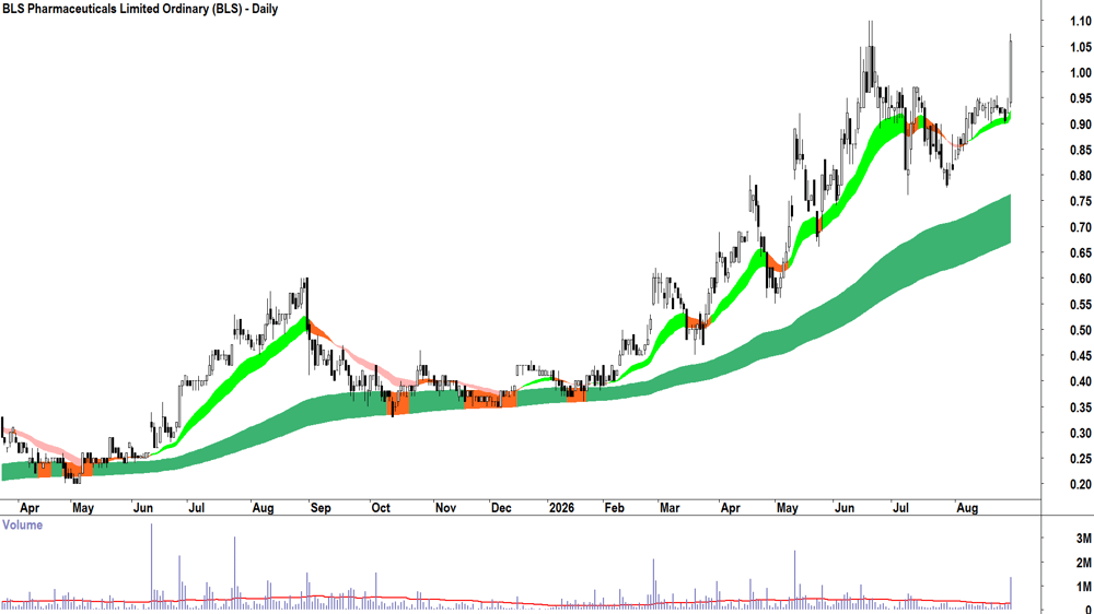 BLS Pharmaceuticals (ASX-BLS) Daily chart 31 August 2026