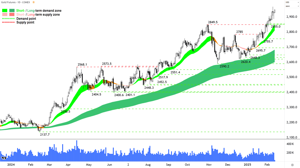 Gold Futures (Front month, back-adjusted) COMEX Chart 13 February 2025