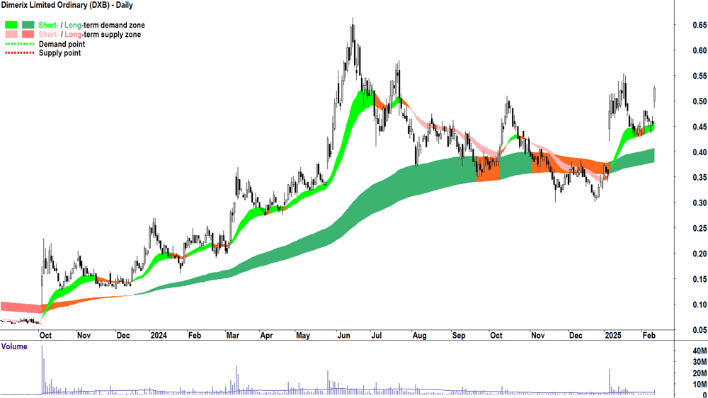 Dimerix (ASX-DXB) daily chart 12 February 2025