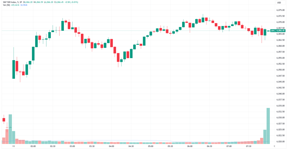 SPX 2025-02-11 08-06-07