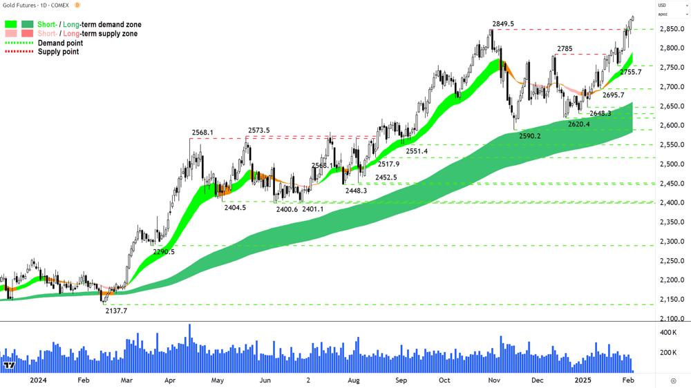Gold Futures (Front month, back-adjusted) COMEX chart 05 February 2025
