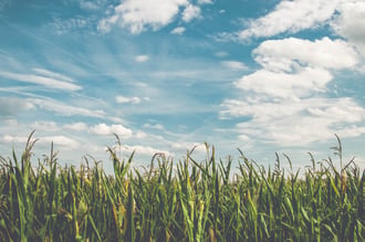 Floods and ‘record low’ almond prices wipe -$26M off Select Harvest’s 1H FY23 earnings