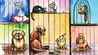 Dogs of the ASX for the 2023 financial year