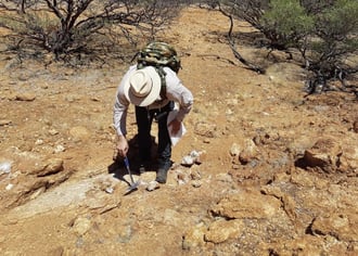 Askari Metals discovers rare earth potential at the Barrow Creek Lithium Project