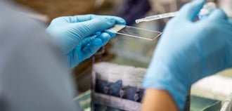 Immutep crashes 90% as Phase III lung cancer trial discontinued