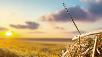How to invest in the ASX: A framework to find quality shares for your portfolio