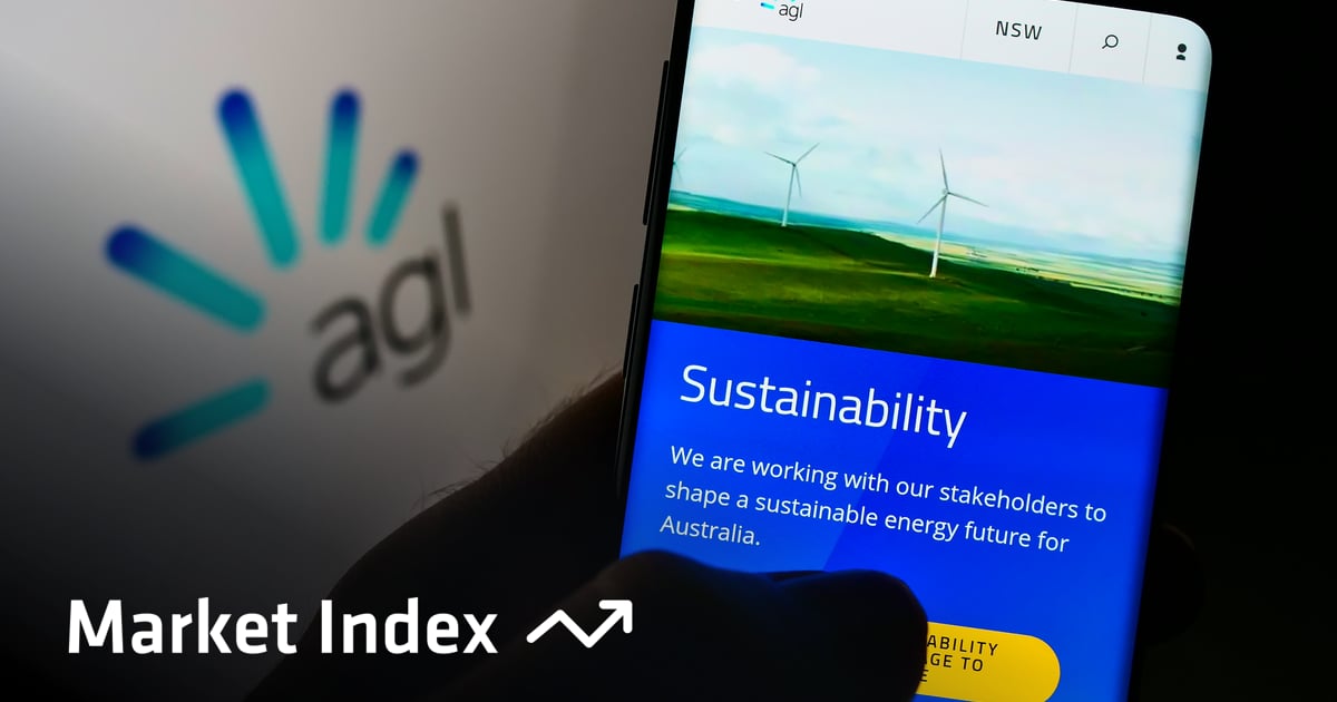 Insider Trades: AGL shares nosedive on results but seven directors are ...
